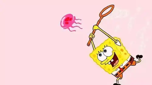  加油你是最胖的