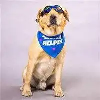  小七头像图片大全微信头像图片大全