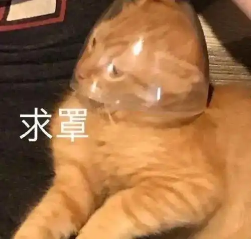  请问这里能卖分吗女子走进交管大厅真诚发问