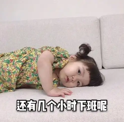 晋中一手办理网络文化经营许可怎么办理多少钱需要什么资料