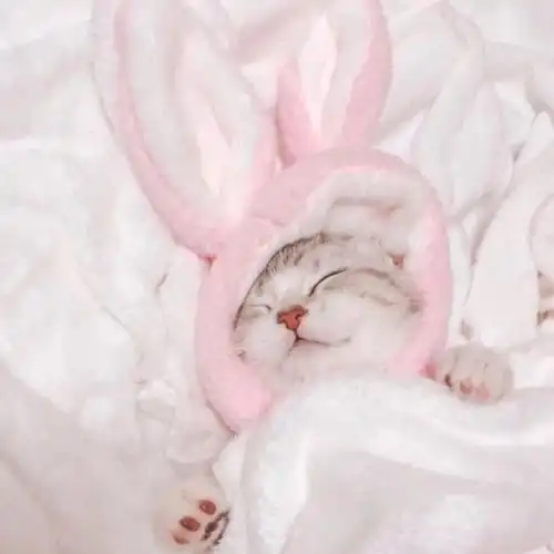  文案励志充满希望的短句