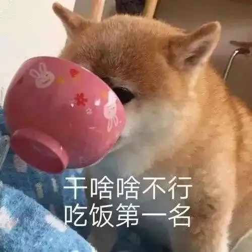 天津相声广播猫和老鼠不是动画片,是纪录片