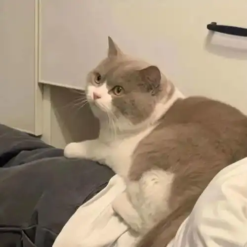 instanight头像壁纸回归原样何来遗憾