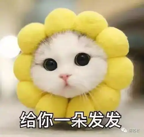  征稿启事山大图苑向您约稿