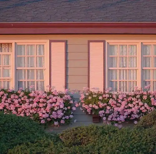  背景图丨发现容易崩溃的不是成年人是成年穷人