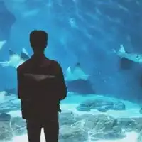  2021背影情侣头像情侣专用