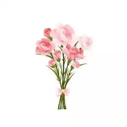  从苏a到苏m,13个城市13朵花,你最想到哪儿去赏花