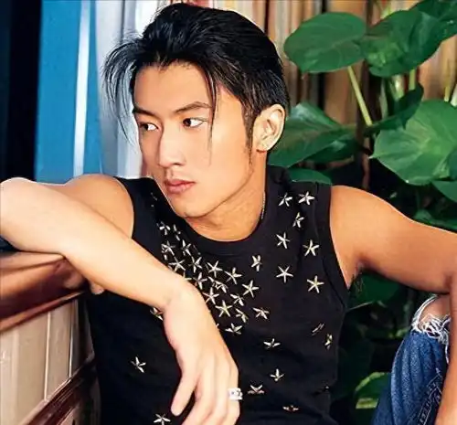  谢霆锋与王菲,有情人终成情侣