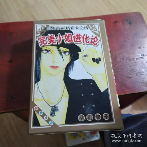  完美小姐进化论13全