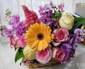  客厅插花风水旺财又旺桃花