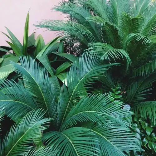  头像背景丨清风徐来水波不兴