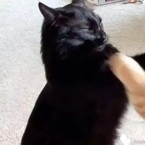  情侣头像一男一女