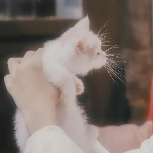  200213王俊凯系列情头合集甜甜蜜蜜好可爱