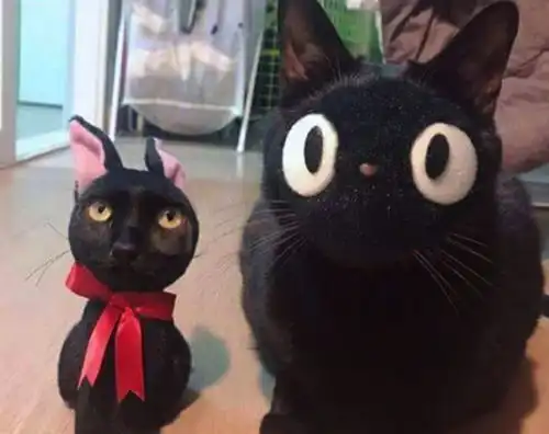  当猫狗换脸之后,会有什么样的化学反应脸型决定一切