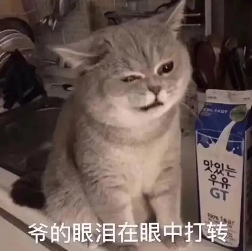  游戏玩家做菜太难吃惨遭追杀网友一梦江湖npc一直很会玩