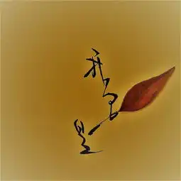  你的名字,一叶一花的姓氏