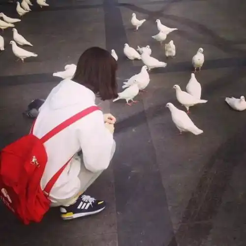  你不是第一个,也不是最后一个,甚至不是最爱的那一个