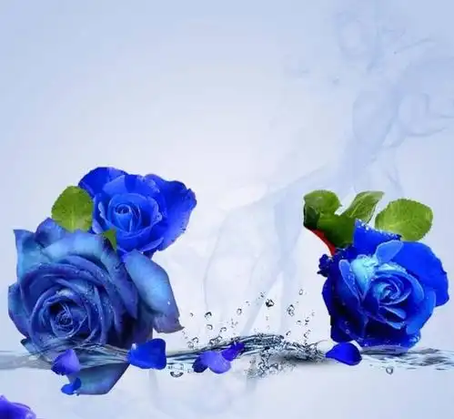  情商高,但朋友少,最厌倦人情世故的三个星座,只因太过追求真我