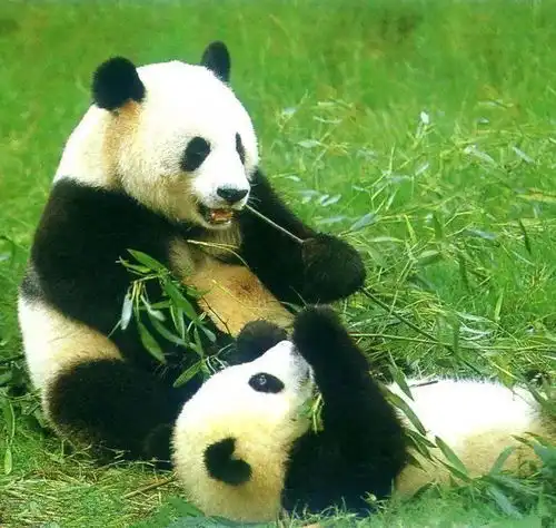  吃喝玩乐又又又来了,好吃好玩根本停不下来