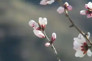  1000266.jpg,箭扣小布达拉正北楼慕田峪长城,风景图片,旅游景点图片旅行照片月下门网