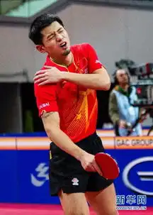  德国公开赛马龙胜张继科夺冠