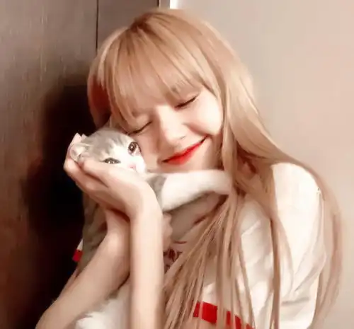 lisa因用中文拜年被骂了韩国网友称blackpink是我们国家的爱豆