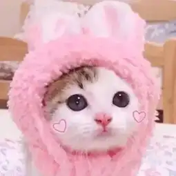  动物头像拥有的不珍惜失去的瞎挽回