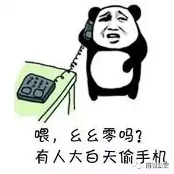  南城县警方破获系列手机盗窃案,窃贼竟是......