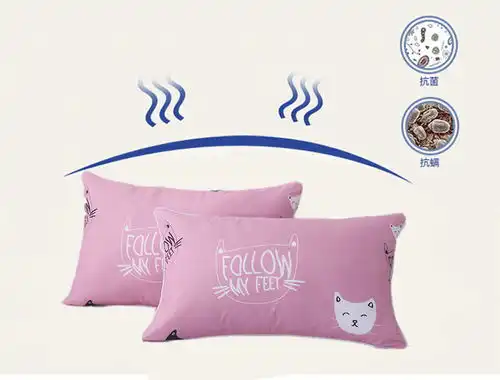  单人枕头芯成人枕头套装可爱卡通学生宿舍少女心情侣枕芯一对一只