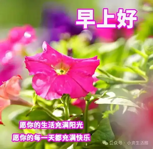  30张最新版早上好表情图片大全,幸福快乐,真情牵挂,珍惜永久早安思念大海钟声网易订阅