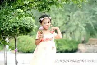  筝元古筝未来之星夏英子璇古筝曲小宝宝