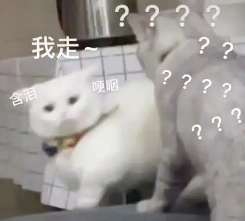  让人笑到停不下来的7个段子,诙谐趣味足,一秒笑岔气