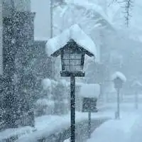  雪花头像微信头像图片大全