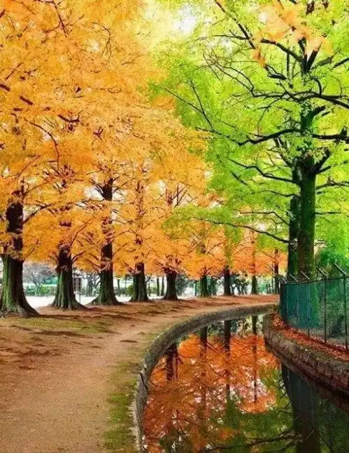  长沙周末去哪儿玩这八个地方一定不要错过