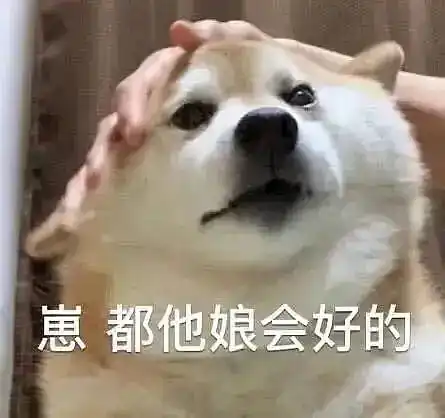  大懒x小懒的相册哈哈哈表情包
