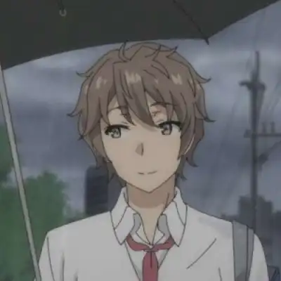  氷菓青春猪头少年不会梦到兔女情侣头像我要个性网