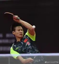  张继科后马龙也伤退了刘国梁回应这是新球害的2