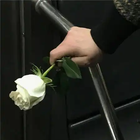  欧罗巴勒沃库森vs罗马比分预测勒沃库森对罗马谁会赢