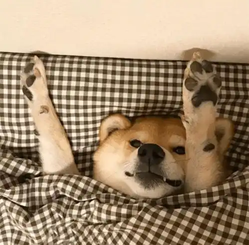  这份快捷键清单一定要收藏