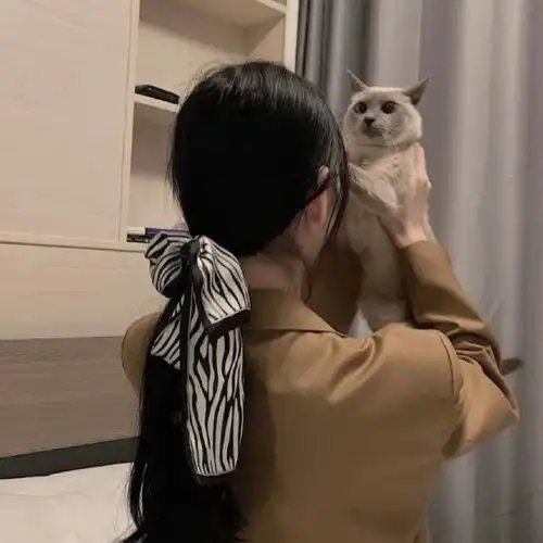  ins风氛围感头像天气晴朗空气新鲜生活有所期待