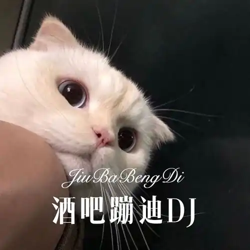 怎么会迷上你我在问自己胸毛少女高音质在线试听怎么会迷上你我在问自己歌词歌曲下载酷狗音乐