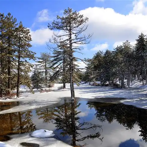  2023山河雨林风景头像