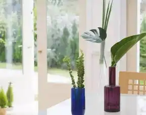  原版悦读聪明女子该知道自己酒量