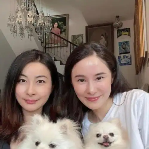甘比郭晶晶合体做慈善首同框稳站c位,豪门地位却大不同