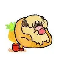  黑白柯基情侣头像微信头像图片大全