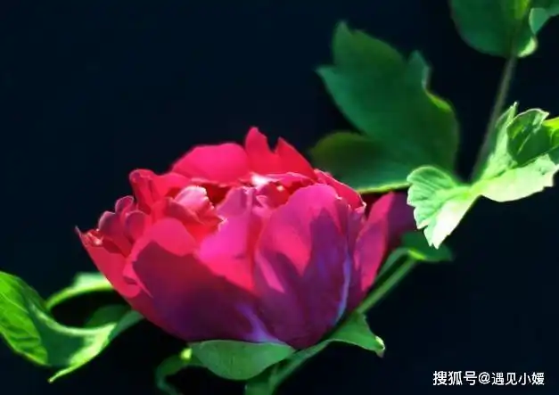  情侣之间,默契不是最重要的,容忍才是