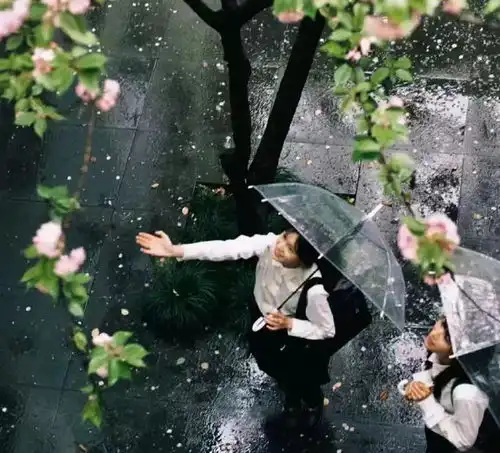  用这组头像,把春天的氛围感焊在朋友圈