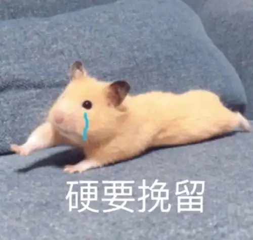  表情包分享大声的笑出来,就没有这么害怕了腾讯新闻