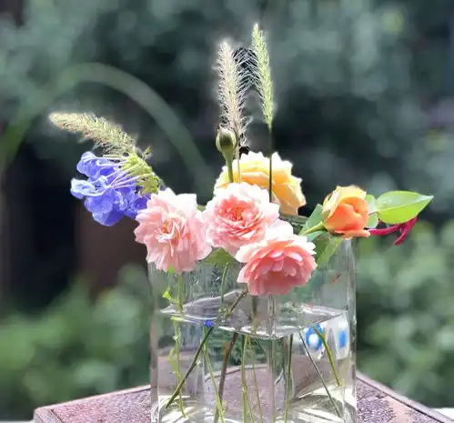  老师节表白我万分珍视这人间难得的单纯,真好你也一样