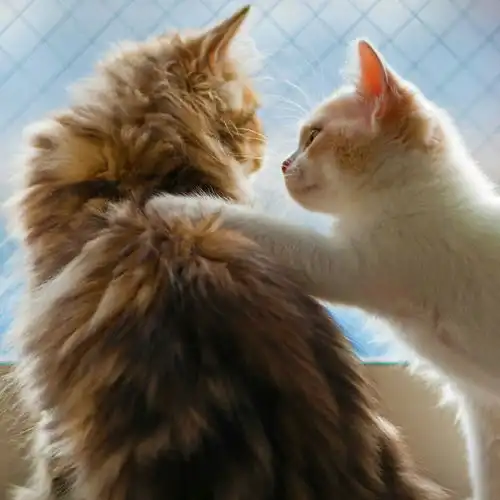  我们的故事爱就爱到值得错也错的值得